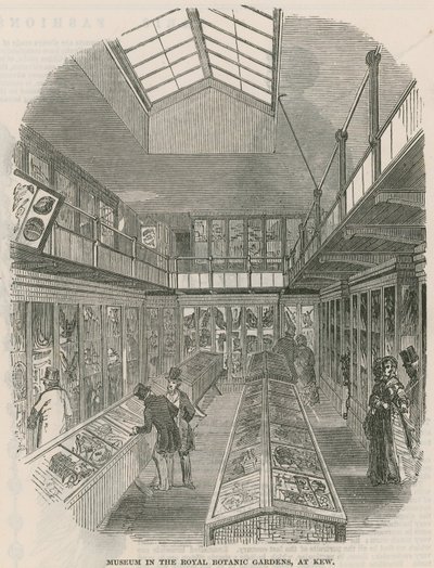 Museum in den Königlichen Botanischen Gärten, in Kew von English School