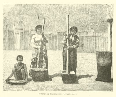 Einheimische von Madagaskar stampfen Reis von English School