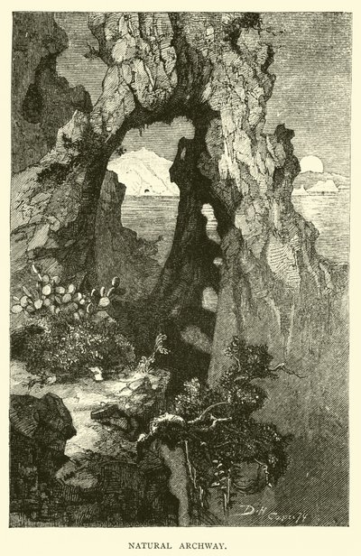 Natürlicher Torbogen von English School