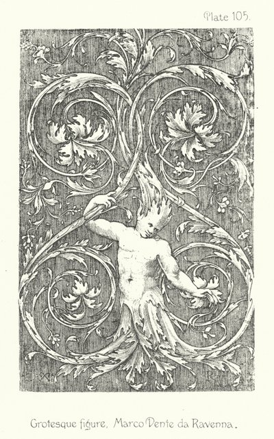 Natur im Ornament: Groteske Figur, Marco Dente da Ravenna von English School