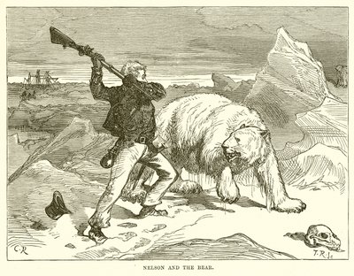 Nelson und der Bär von English School