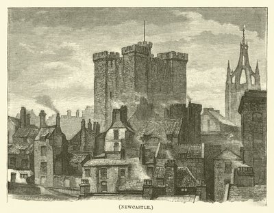 Newcastle von English School