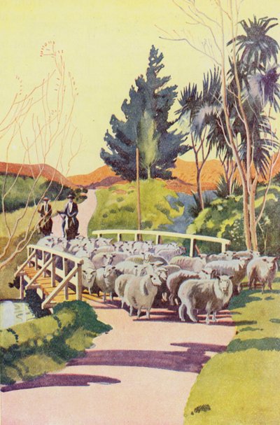 Auf einer neuseeländischen Schaffarm von English School