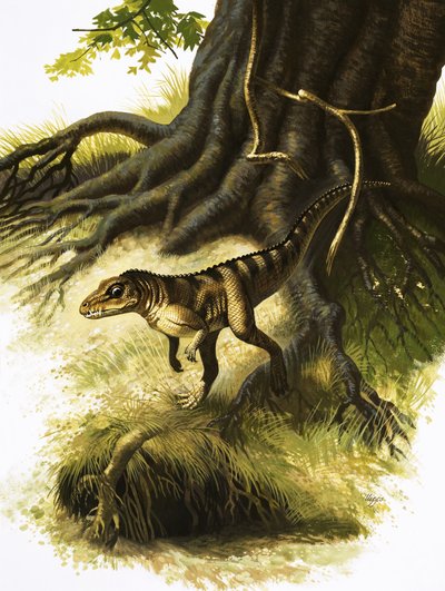 Onithosuchus von English School