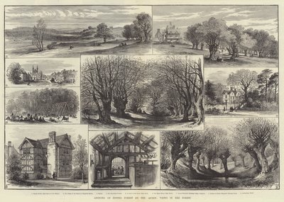 Eröffnung des Epping Forest durch die Königin, Ansichten im Wald (Gravur) von English School