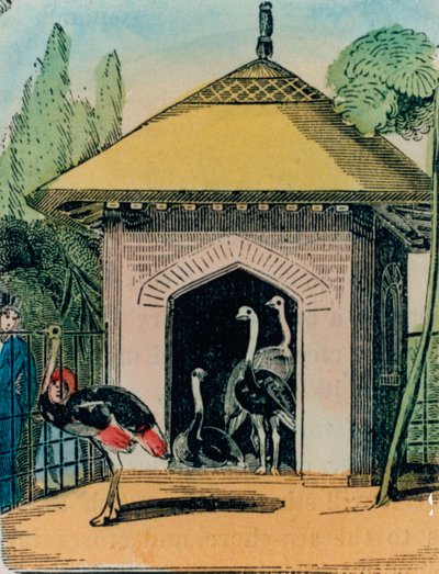 Straußen- und Emu-Haus im Londoner Zoo. 1840er Jahre von English School