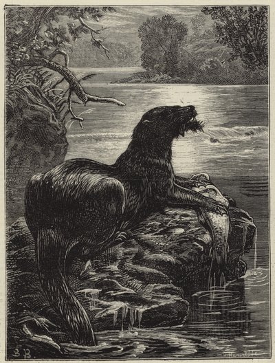 Otterjagd im Norden von English School