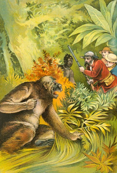 Unser erster Gorilla von English School