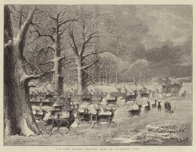 Freiluftunterstützung, Hirsche füttern im Richmond Park von English School