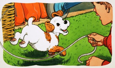 Paddy Paws von English School