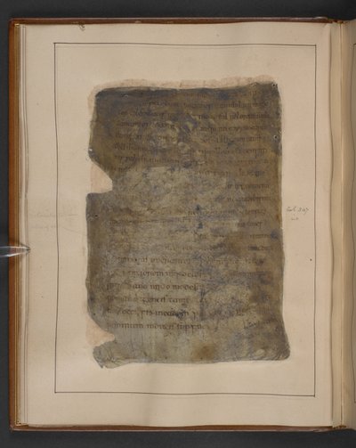 Seite aus Gildas, De excidio Britanniae (unvollständig), Mitte des 10. Jahrhunderts von English School