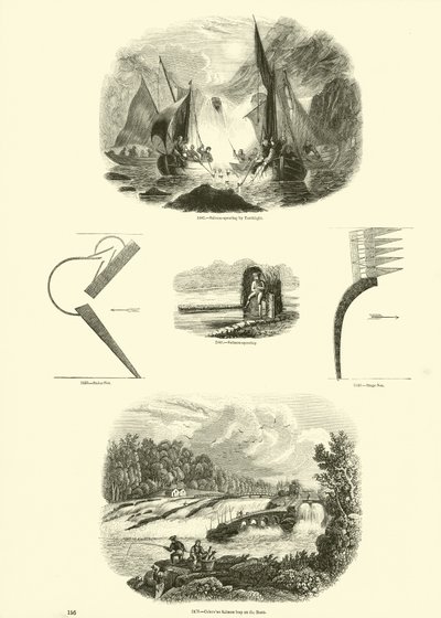 Seite aus dem Bildmuseum der belebten Natur von English School
