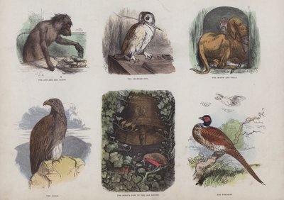 Seite aus dem Attraktiven Bilderbuch von English School