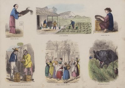 Seite aus dem Attraktiven Bilderbuch von English School