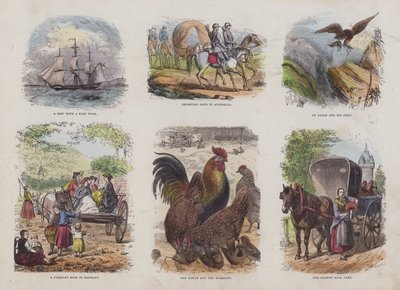 Seite aus dem Attraktiven Bilderbuch (farbige Gravur) von English School