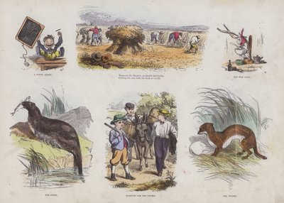 Seite aus dem attraktiven Bilderbuch (farbige Gravur) von English School