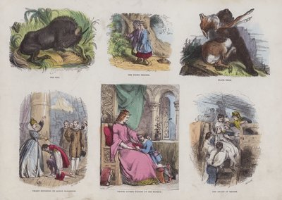 Seite aus dem attraktiven Bilderbuch von English School