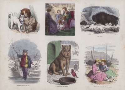Seite aus dem attraktiven Bilderbuch (farbige Gravur) von English School