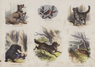 Seite aus dem attraktiven Bilderbuch (kolorierte Gravur) von English School