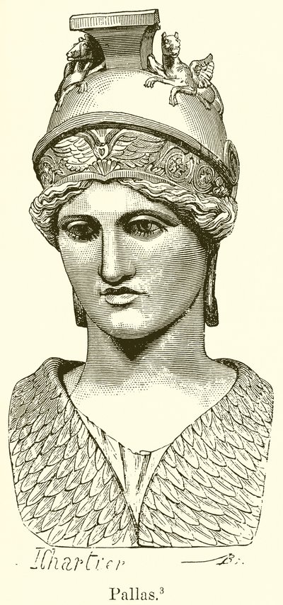 Pallas von English School