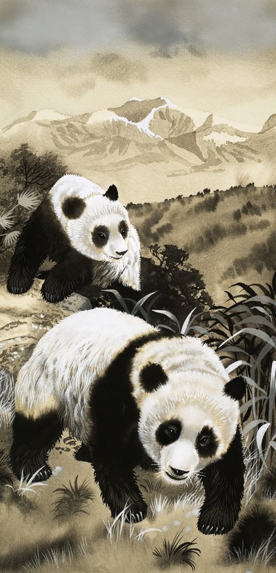 Pandas von English School