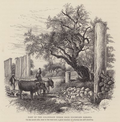 Teil der Kolonnade, die einst Samaria umgab (Gravur) von English School