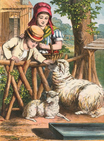 Ein Schaf streicheln von English School