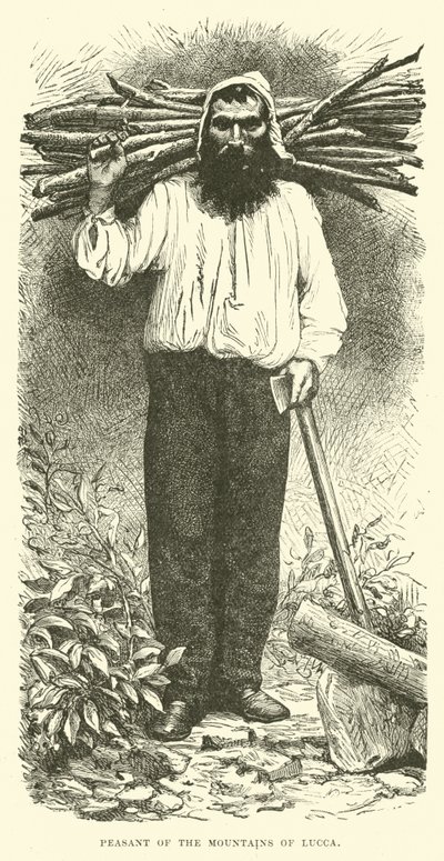 Bauer aus den Bergen von Lucca von English School