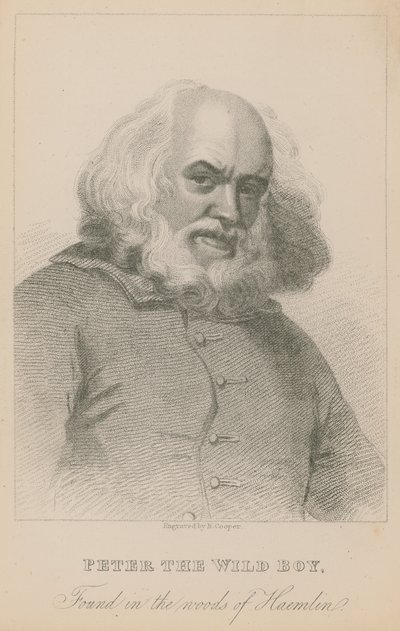 Peter der Wilde Junge, im Wald von Haemlin gefunden von English School