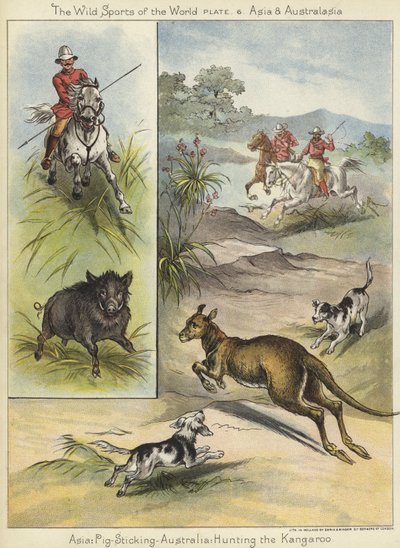 Schweinejagd und Kängurujagd von English School