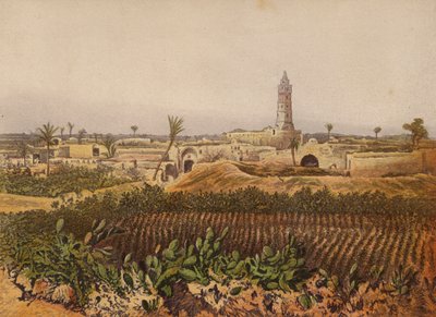 In der Bibel erwähnte Orte: Gaza, die Altstadt von English School