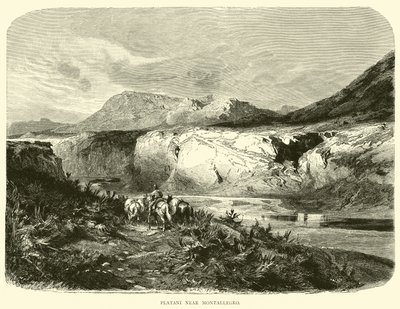 Platani bei Montallegro von English School