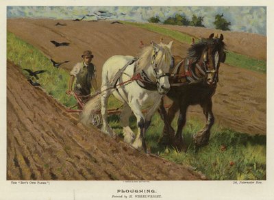 Pflügen von H. Wheelwright von English School