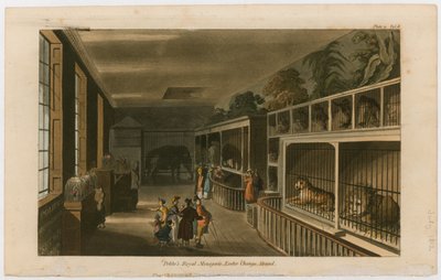 Politos Royal Menagerie, Exeter Change, Strand von English School