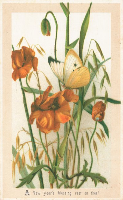 Mohnblumen und Schmetterling, Neujahrskarte von English School