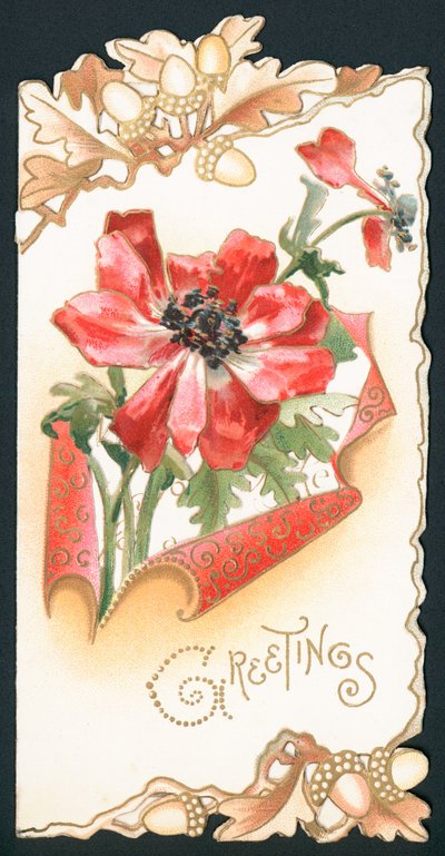 Mohnblume mit Eicheln, Karte von English School