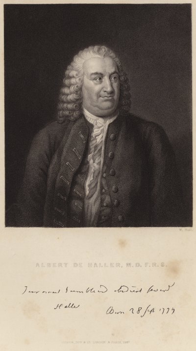 Porträt von Albert de Haller von English School