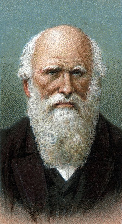 Porträt von Charles Robert Darwin (1809-1882) - Aus der Serie „Leaders of Men“ - Chromolithographie - Englische Schule, 20. Jahrhundert von English School