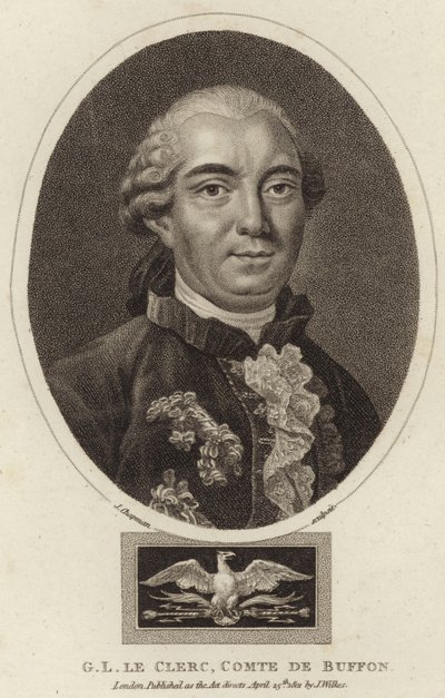 Porträt von Georges-Louis Leclerc, Comte de Buffon von English School
