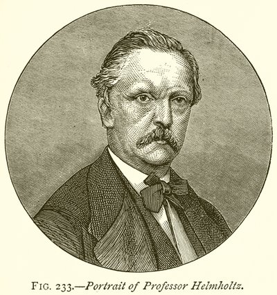 Porträt von Professor Helmholtz von English School