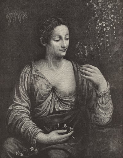 Porträt einer jungen Dame von English School