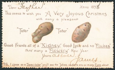 Kartoffeln, Weihnachtskarte von English School