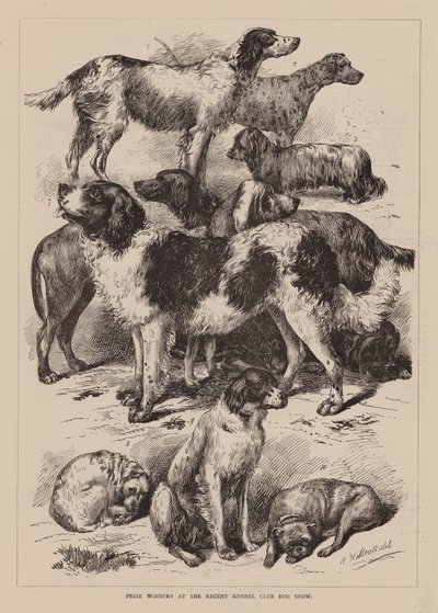 Preisträger der jüngsten Kennel Club Dog Show von English School