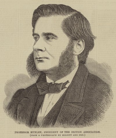 Professor Huxley, Präsident der British Association (Stich) von English School