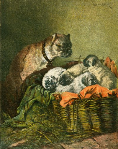 Mops und Welpen von English School