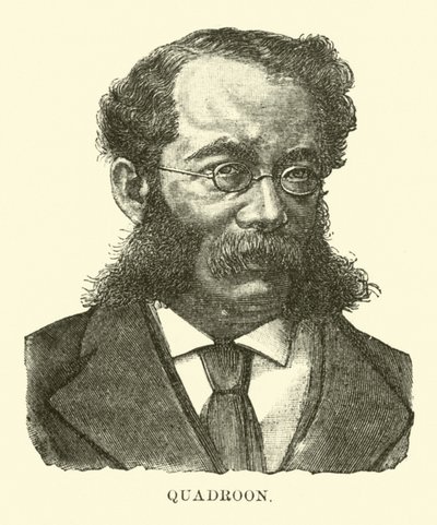 Quadroon von English School