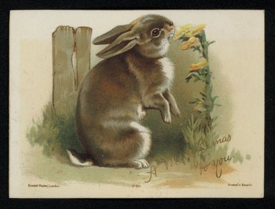 Kaninchen isst gelbe Blumen, Weihnachtsgrußkarte von English School