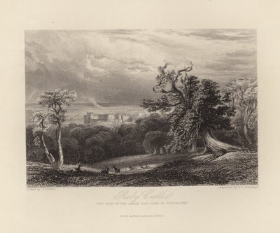 Raby Castle von English School