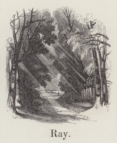 Strahl von English School