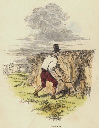 Ernte von English School